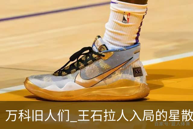 万科旧人们 王石拉人入局的星散前程