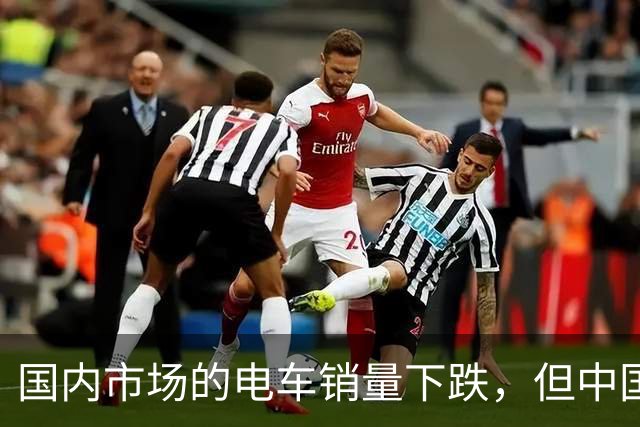 国内市场的电车销量下跌，但中国车圈新恒大可能先在海外爆发