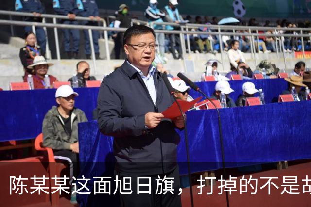陈某某这面旭日旗，打掉的不是胡锡进的面子，是一层中邪论的滤镜